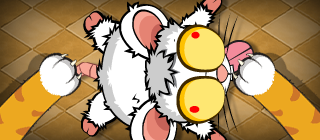 Rat Catcher Challenge